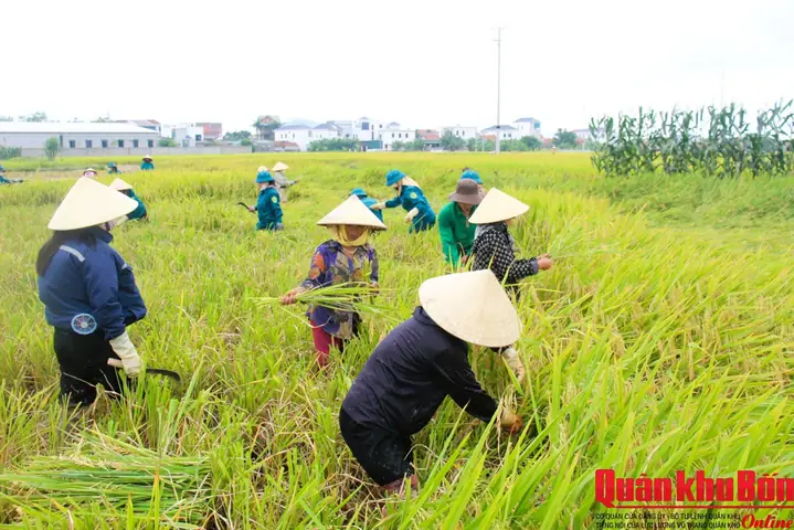 Giá Vàng Quỳnh Lưu Nghệ An