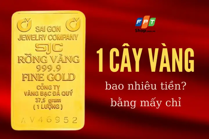 Giá Vàng Sjc Hôm Nay Bao Tiền 1 Chỉ Giá Vàng Sjc Hôm Nay Bao Tiền 1 Chỉ