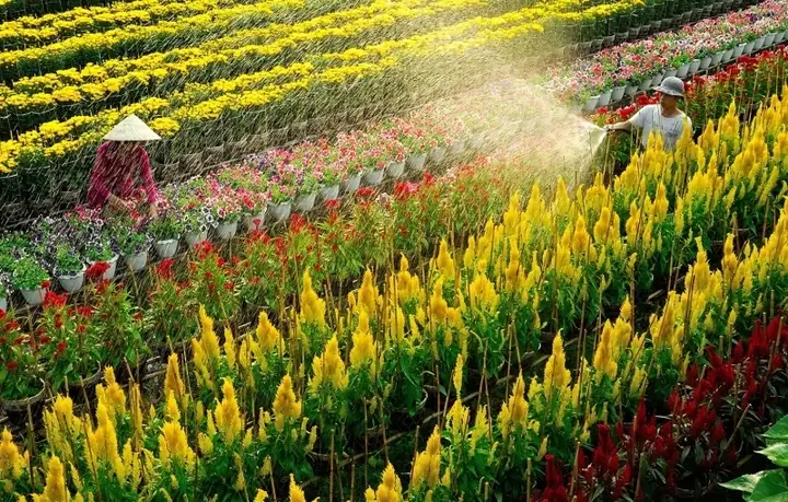 Giá Vàng Tại Thành Phố Sa Đéc