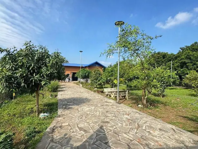 Giá Vàng Tăng Giá Đất Có Tăng Không