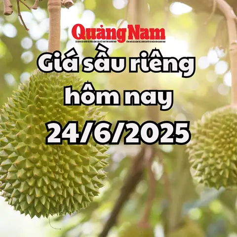 Giá Vàng Tây Nguyên
