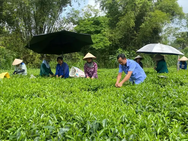 Giá Vàng Tuyên Quang