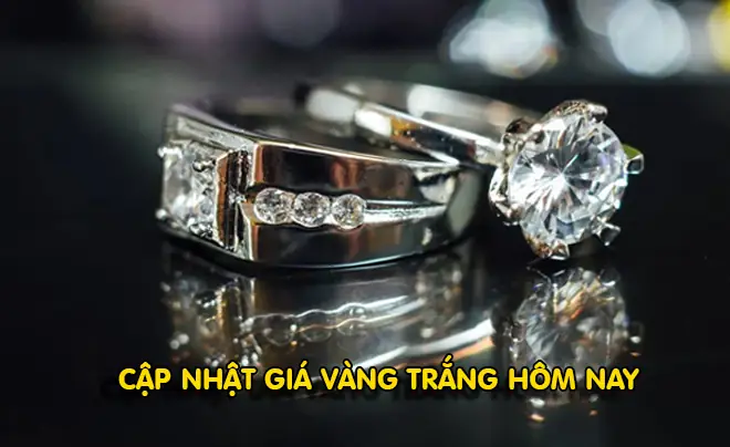 Giá Vàng Ý 24k Hôm Nay