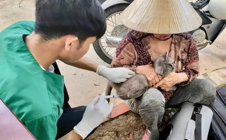 Giá Vàng Ý Ở Bình Thuận