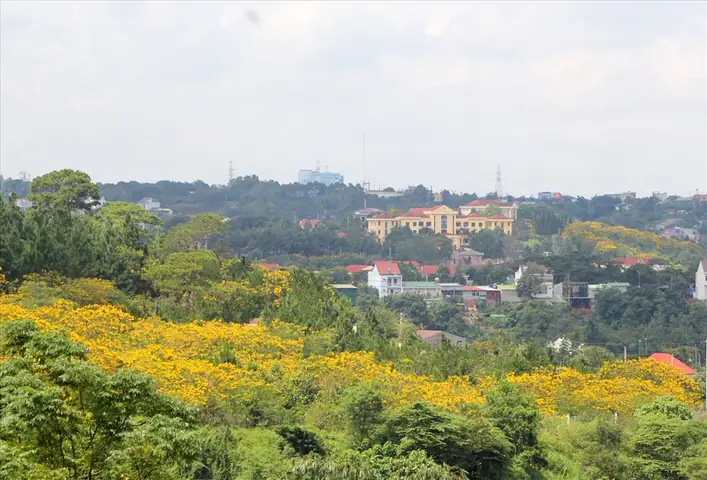 Giá Vàng Ý Ở Đắk Nông
