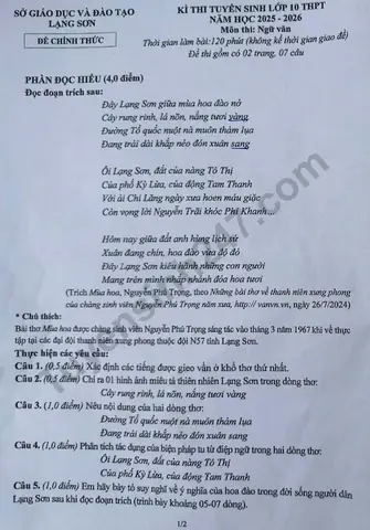 Giá Vàng Ý Ở Lạng Sơn