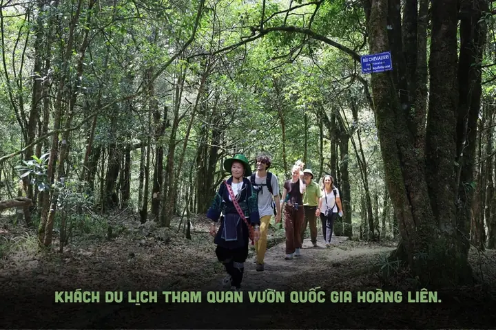 Giá Vàng Ý Ở Lào Cai