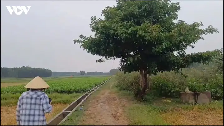 Giá Vàng Ý Ở Quảng Ngãi Giá Vàng Ý Ở Quảng Ngãi