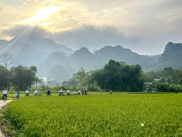 Giá Vàng Ý Ở Tuyên Quang