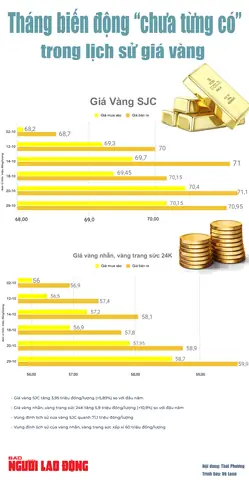 Lịch Sử Giá Vàng Trong Nước