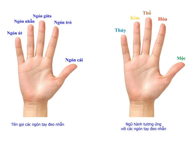Đeo Nhẫn Phong Thủy Ngón Nào