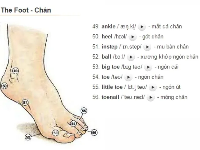 Lắc Chân Tiếng Anh Là Gì? Định Nghĩa, Cách Dùng Và Ví Dụ Thực Tế