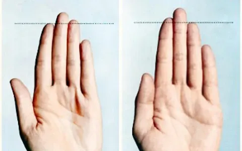 Ngón Đeo Nhẫn Cao Hơn Ngón Trỏ Ngón Đeo Nhẫn Cao Hơn Ngón Trỏ