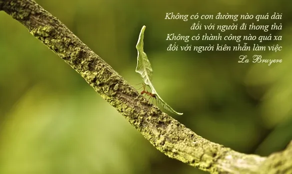 Tổng Hợp Câu Nói Hay Về Nhẫn Nhịn Cùng Danh Ngôn Và Thơ Ý Nghĩa Về Chữ Nhẫn