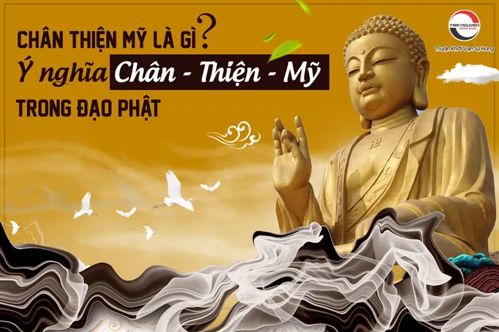 Giải Nghĩa Chân Thiện Nhẫn Là Gì Và Nguồn Gốc Từ Pháp Luân Đại Pháp