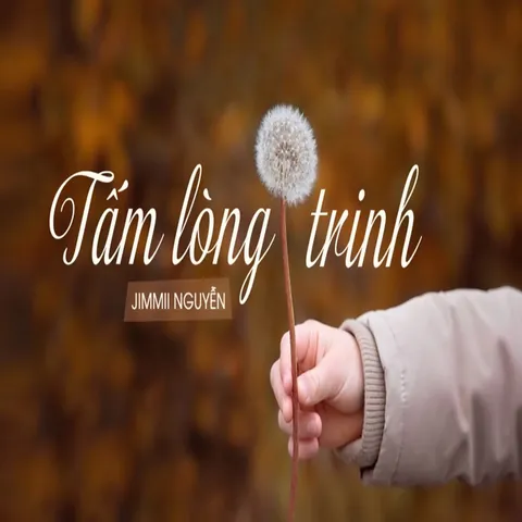 Khám Phá Lời Bài Hát, Hợp Âm Và Nghe Chiếc Nhẫn Ngày Xưa - Jimmii Nguyễn Cùng Fan Nhạc Trẻ 8x 9x