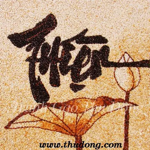 Thư Pháp Chân Thiện Nhẫn: Sưu Tập Hình Ảnh Đẹp, Ý Nghĩa Chữ & Các Phong Cách Viết Nghệ Thuật