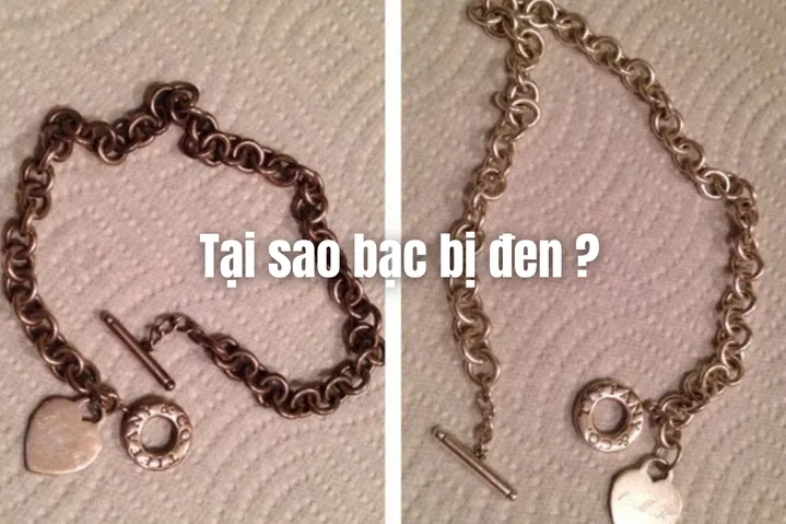 Giải Đáp Đeo Dây Chuyền Bạc Tránh Gió Có Hiệu Quả Không Và Sự Thật Cần Biết