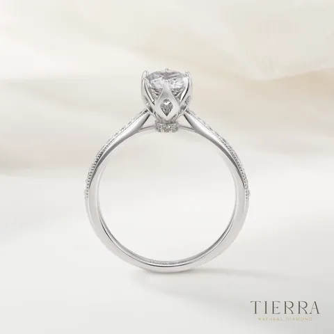 Cập Nhật Giá Nhẫn Kim Cương 5 Ly Mới Nhất Theo Chất Lượng Kim Cương