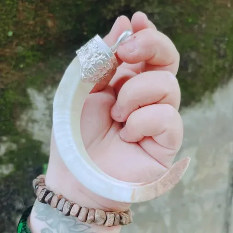 Mặt Dây Chuyền Nanh Heo: Hướng Dẫn Chọn Mua, Giá Cả Và Cách Bảo Quản Cho Người Mới Bắt Đầu