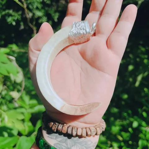 Mặt Dây Chuyền Nanh Heo: Hướng Dẫn Chọn Mua, Giá Cả Và Cách Bảo Quản Cho Người Mới Bắt Đầu