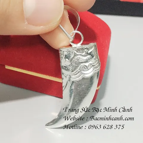 Mặt Dây Chuyền Nanh Hổ: Định Nghĩa, Các Loại, Cách Chọn Và Mua Hợp Lý