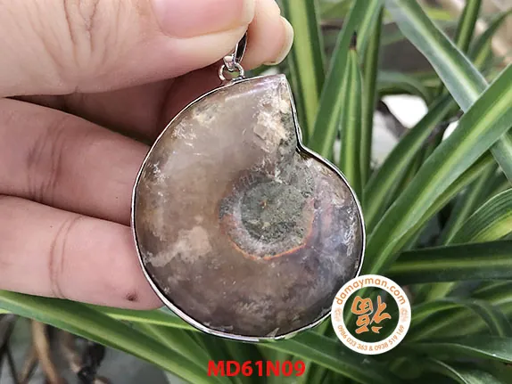Tìm Hiểu Mặt Dây Chuyền Ốc Anh Vũ: Các Loại Hóa Thạch Và Giá Bán Thị Trường
