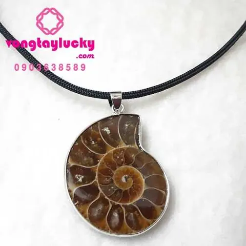 Tìm Hiểu Mặt Dây Chuyền Ốc Anh Vũ: Các Loại Hóa Thạch Và Giá Bán Thị Trường