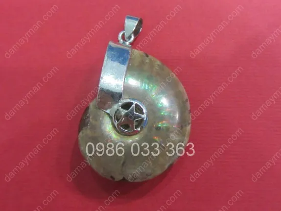 Tìm Hiểu Mặt Dây Chuyền Ốc Anh Vũ: Các Loại Hóa Thạch Và Giá Bán Thị Trường