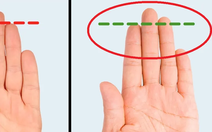 Giải Nghĩa Ngón Trỏ Cao Hơn Ngón Đeo Nhẫn: Tính Cách Và Ý Nghĩa Nhân Tướng Học