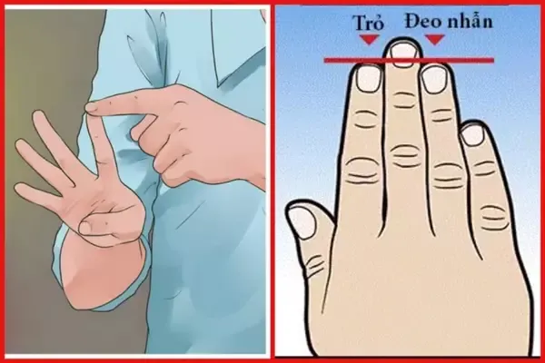 Giải Mã Ý Nghĩa Tính Cách Và Xu Hướng Giới Tính Khi Ngón Trỏ Ngắn Hơn Ngón Đeo Nhẫn Ở Bàn Tay