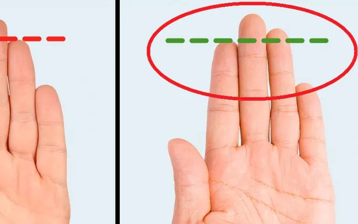 Giải Mã Ý Nghĩa Nhân Tướng Học Ngón Út Thấp Hơn Ngón Đeo Nhẫn Và Những Luận Giải Về Vận Mệnh