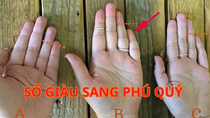 Giải Mã Ý Nghĩa Nhân Tướng Học Ngón Út Thấp Hơn Ngón Đeo Nhẫn Và Những Luận Giải Về Vận Mệnh