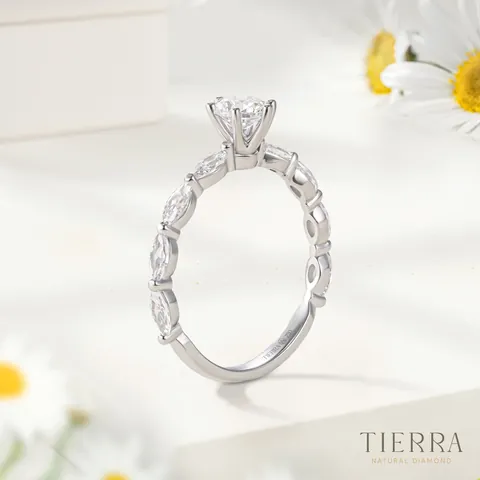 Bảng Giá Nhẫn Bạch Kim Nữ Mới Nhất Tại Pnj, Glamira Và Shopee