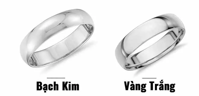 Bảng Giá Nhẫn Bạch Kim Nữ Mới Nhất Tại Pnj, Glamira Và Shopee