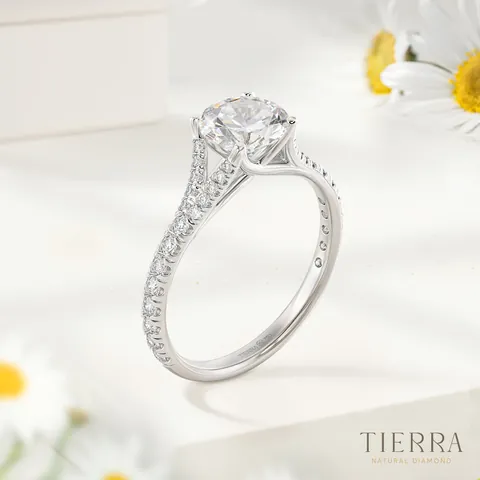Bảng Giá Nhẫn Cưới Bạch Kim Mới Nhất Tại Các Thương Hiệu Việt Nam Bảng Giá Nhẫn Cưới Bạch Kim Mới Nhất Tại Các Thương Hiệu Việt Nam
